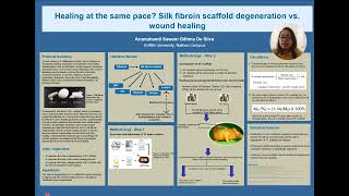 Healing at the same pace Silk fibroin scaffold degeneration vs wound healing [upl. by Anicnarf]