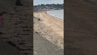 Leysdown Beach Sheerness Kent England UK 🇬🇧 [upl. by Notsob]