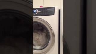 Electrolux EFLS517SIW washer shaking vibrating review [upl. by Ailerua]