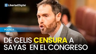 De Celis censura a Sayas al hablar de la Guardia Civil de Navarra [upl. by Correy]