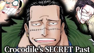 Crocodiles SECRET Past Finally Revealed  One Piece Theory by a Japanese Translator [upl. by Urba]