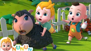 Baa Baa Black Sheep Song  Nursery Rhymes amp Kids Songs  NuNu Tv Baby Songs [upl. by Kinney682]