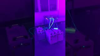 LED UV curing energysaving lamp [upl. by Ruffo]