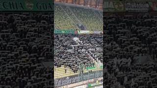 Pożegnanie młodych kibiców Lechia 12 Cracovia 202425 shorts LewPL lechia fans football LG [upl. by Enyledam]