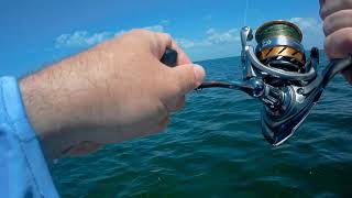 Hernando Beach Nearshore Fishing  Grouper and HoundFish [upl. by Fougere]