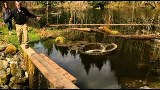 The Salmon of Lake Cowichan  Shaw TV Duncan [upl. by Ancilin]