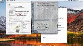 How to Apostille a Puerto Rico Birth Certificate [upl. by Maice]