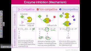 Enzyme inhibition [upl. by Pantheas]