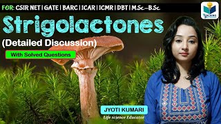 Strigolactones  Detailed Discussion   Plant Hormone [upl. by Ynabla264]