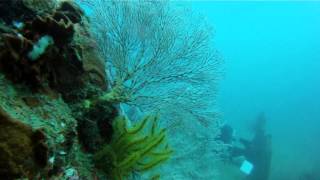 UnderWater Temple Garden Pemuteran Bali [upl. by Demha951]