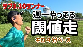 【閾値走】マラソン練習と言えばこれ！【ほぼ毎週やってます】｜ Tpace running 400 km 51km [upl. by Filahk]