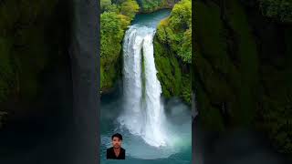 music cover coversong song naturemusic natureza meditationmusic musicforrelaxation [upl. by Adnawaj]