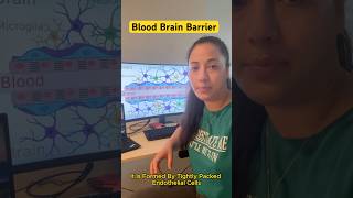 BloodBrainBarrierNeurobiologyBrainResearch [upl. by Aldred]