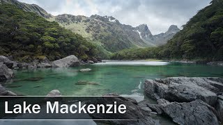 Routeburn Track to Lake Mackenzie New Zealand  4K [upl. by Sanfourd834]