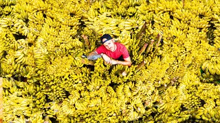 Buying 10000 Bananas For Kids in Bangladesh [upl. by Suravaj485]