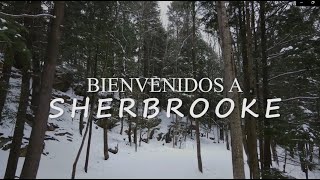 Así es Sherbrooke Canadá [upl. by Ahseekat]