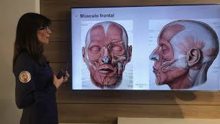 Músculos da Expressão Facial anatomia e análise funcional aplicada à Harmonização Orofacial [upl. by Ellenoj]