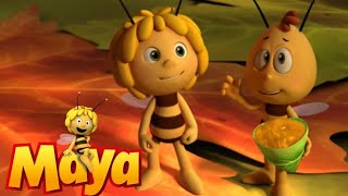 Maya the bee  Music Academy [upl. by Merideth648]