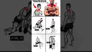 Trapezius workout [upl. by Clerc]