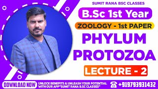 Lt01 Phylum  Protozoa Part2  BSc1st Year Zoology [upl. by Aihseket]