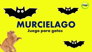 Videos para gatos  murcielago [upl. by Eerac]