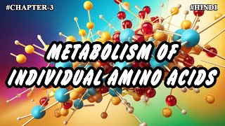 Chapter  3  Metabolism Of Individual Amino Acids Part3  Hindi [upl. by Ynatterb]