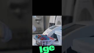 what is IGE immunoglobulin E IGE [upl. by Countess154]