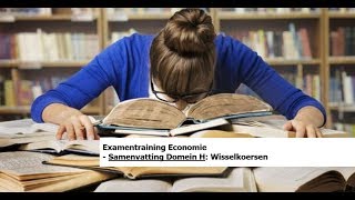 Examentraining Economie Samenvatting Domein H  22 Wisselkoersen [upl. by Nahgaem421]