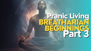 Breatharian Beginnings Part 3  Pranic Living  Breatharianism [upl. by Eseila]