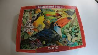 Time Lapse Puzzle Castorland Interlude 3000 [upl. by Grewitz82]