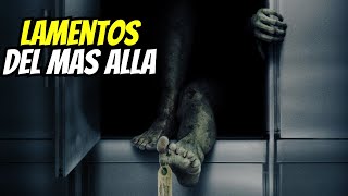 🥀 Misterios en la Morgue  3 Historias de terror de MORGUES [upl. by Arremat218]