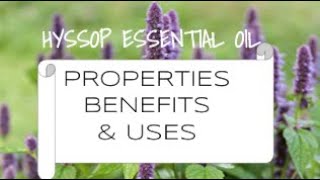 Hyssop Essential Oil  Benefits amp Uses [upl. by Octavla]