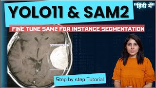 YOLO11 and SAM2 for custom Instance Segmentation [upl. by Sel309]