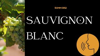 Sauvignon Blanc Pronunciation How to Pronounce sauvignonblanc pronunciation [upl. by Nareik108]