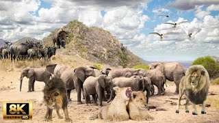 8K African Wildlife Hells Gate National Park Kenya  Scenic Wildlife Film With African Music [upl. by Merola]