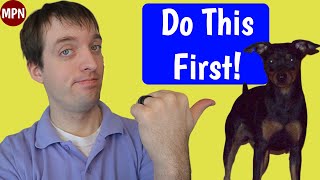 The 3 Min Pin Puppy Training Tips You Must Do First [upl. by Leroy676]