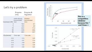 Michaelis Menten and Lineweaver Burk plots [upl. by Okim]