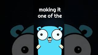 Golang Facts 04 Minimalistic Language 📝 shorts free google golang golangtutorial memes [upl. by Akeim319]