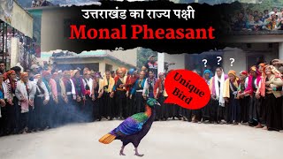 Monal Pheasant उत्तराखंड का राज्य पक्षी कैसे बना  Uttarakhand State Bird Himalayan Monal  History [upl. by Dyann]