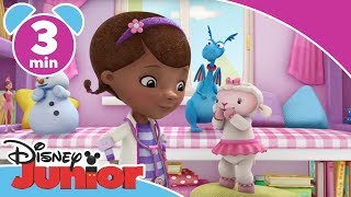 Doktor McStuffins  Den stora leksaksleveransen  Disney Junior Sverige [upl. by Chor]