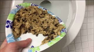 Will it Flush  Nestle Toll House Cookie Dough [upl. by Kered]