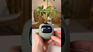 Perfect Gift for Plant Lover shorts plants plantsviralvideo [upl. by Nrobyalc]