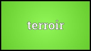 Terroir Meaning [upl. by Sievert513]