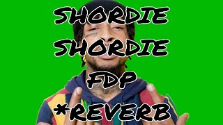 Shordie Shordie  FDP Reverb shordieshordie reverb music trend rap [upl. by Donough]