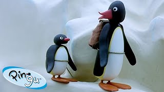 Pingu Goes on Trips 🐧  Pingu  Official Channel  Cartoons For Kids [upl. by Atneciv]