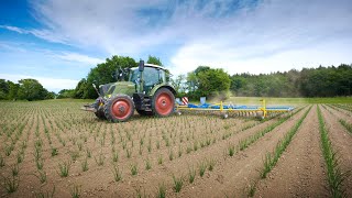 Treffler PräzisionsZinkenstriegel  Fendt Vario [upl. by Edelstein18]