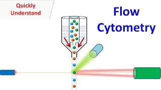 Flow Cytometry [upl. by Ilyk]