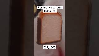 Posting bread until 15k subs funny memes [upl. by Dnomhcir]