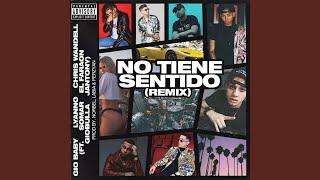 No Tiene Sentido Remix [upl. by Drahnreb348]