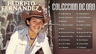 Pedrito Fernandez Sus Grandes Exitos  20 Grandes Exitos De Pedrito Fernandez Rancheras De Oro [upl. by Iral]